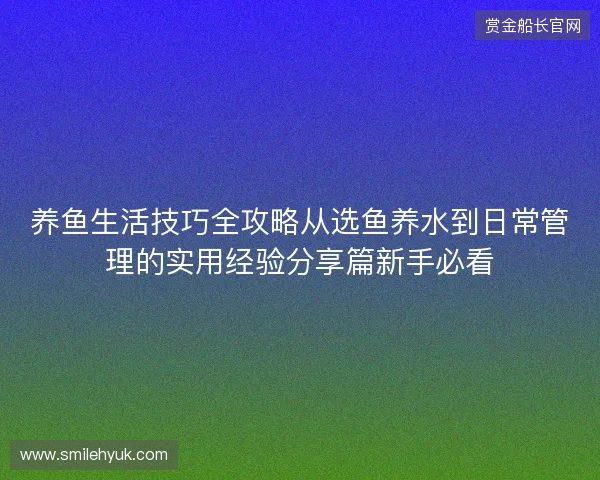养鱼生活技巧全攻略从选鱼养水到日常管理的实用经验分享篇新手必看